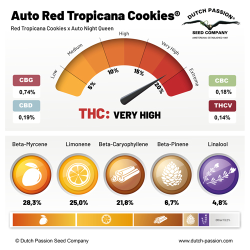 Auto Red Tropicana Cookies cannabinoid and terpene profile