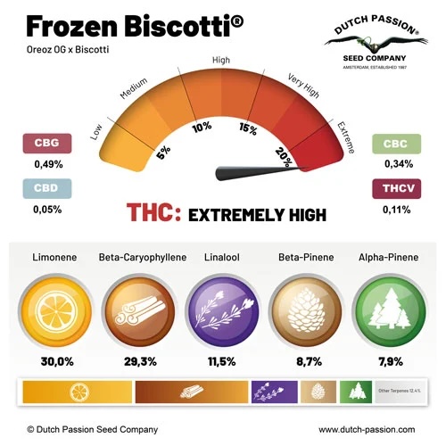 Perfil de cannabinoides y terpenos de Frozen Biscotti