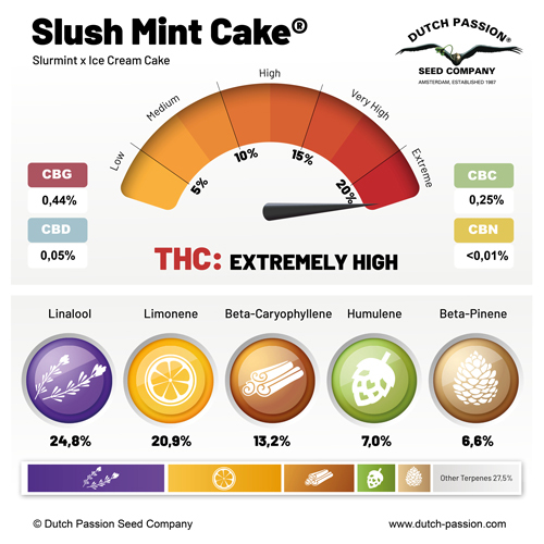 Slush Mint Cake cannabinoid and terpene profile