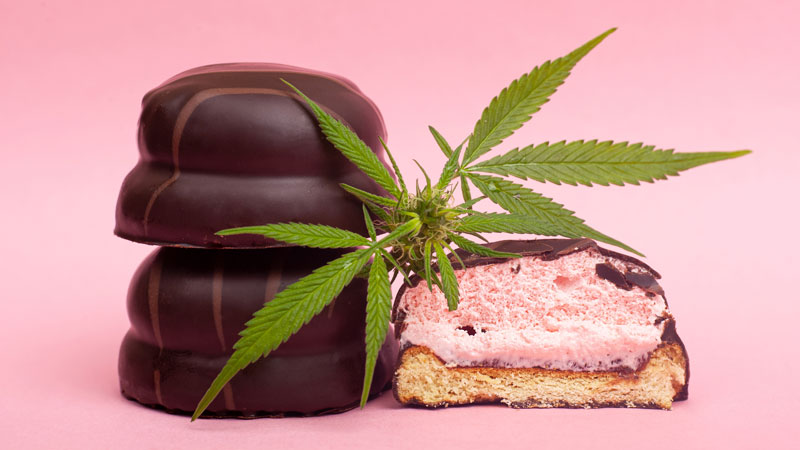 Comestibles de cannabis cubiertos de chocolate sobre fondo rosa con hojas de cannabis