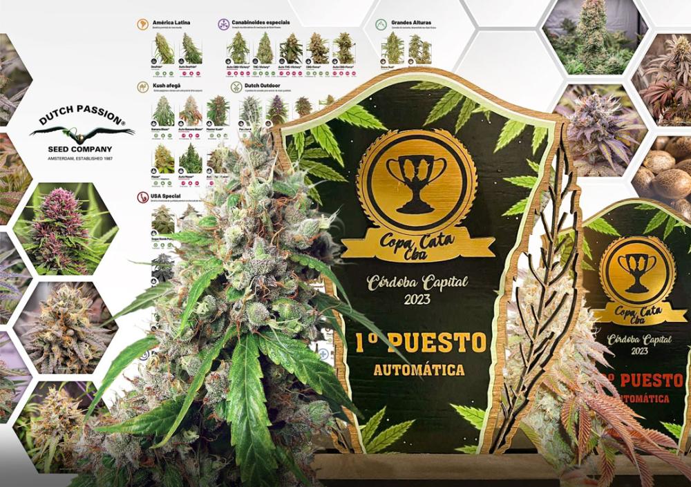 Dutch Passion Córdoba Capital 2023