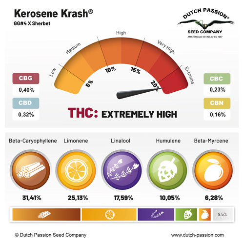 Kerosene Krash cannabinoid and terpene profile