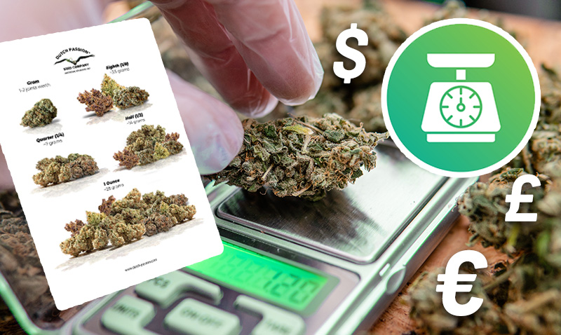 Medidas de cannabis: rangos de pesos, precios y consejos