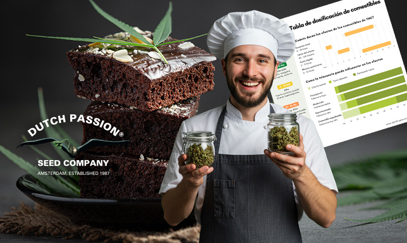 Tabla de dosificación de comestibles: ¿Cuánto THC deberías usar?