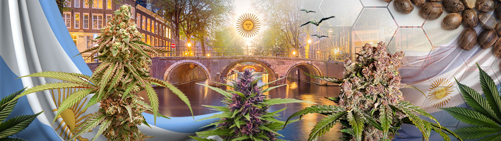 2025: &iexcl;Dutch Passion llega a Argentina!&nbsp;