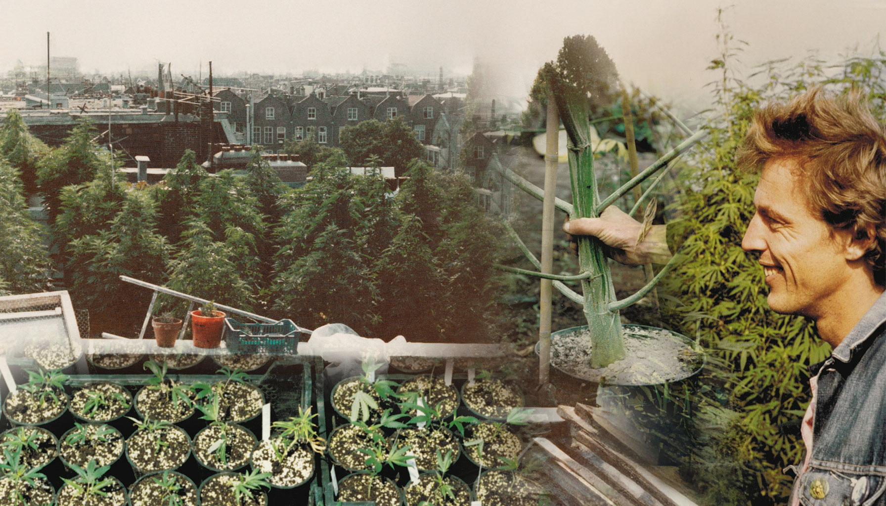 El sueño de Henk van Dalen