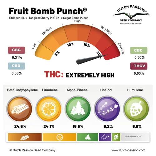 Fruit Bomb Punch terpenos y cannabinoides