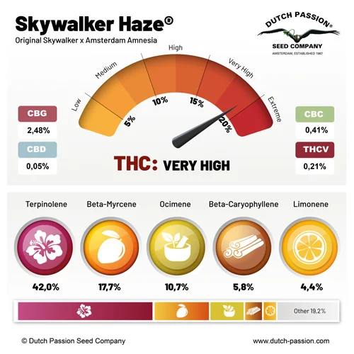 Skywalker Haze cannabinoid and terpene profile