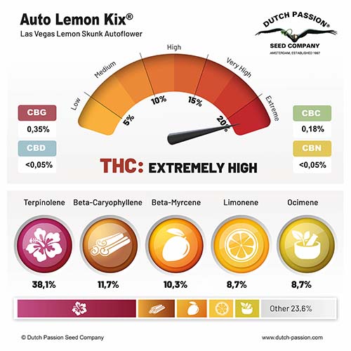 Auto Lemon Kix cannabinoid and terpene profile