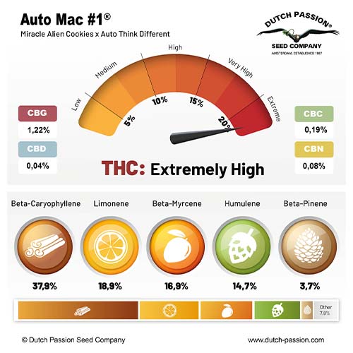 Auto Mac #1 cannabinoid and terpene profile