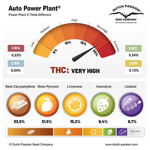 Auto Power Plant cannabinoid and terpene profile