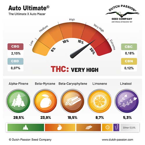 Auto Ultimate cannabinoid and terpene profile