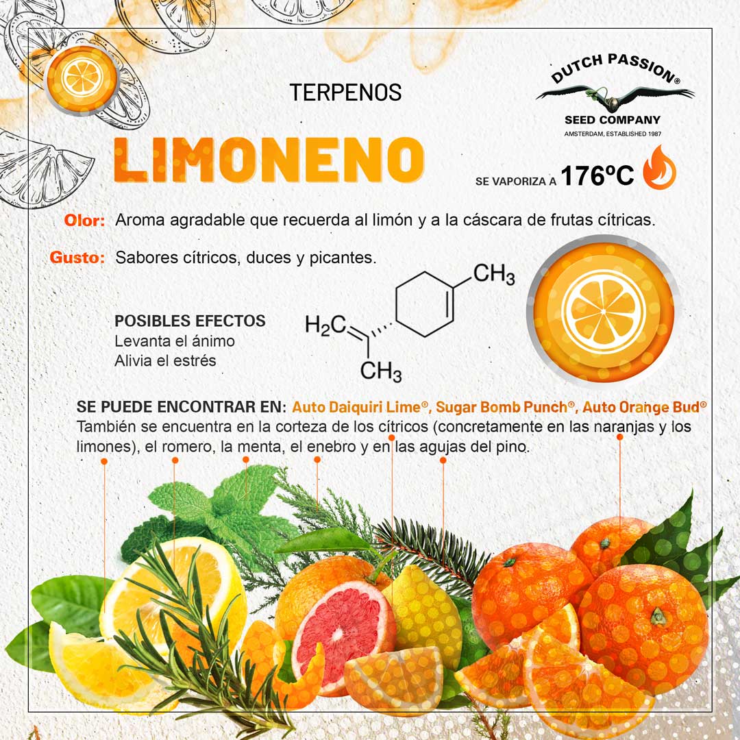 Terpeno de cannabis Limoneno