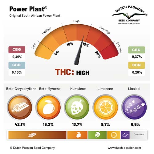 Power Plant cannabinoid and terpene profile